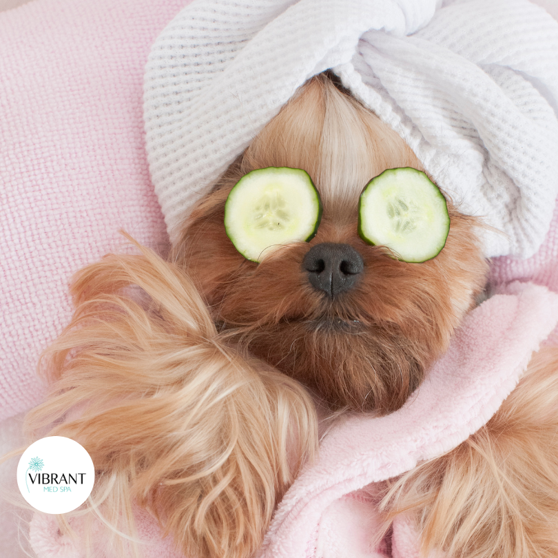 spa-dog-towel-on-head-cucumbers-on-eyes-vibrant-med-spa-roundrock